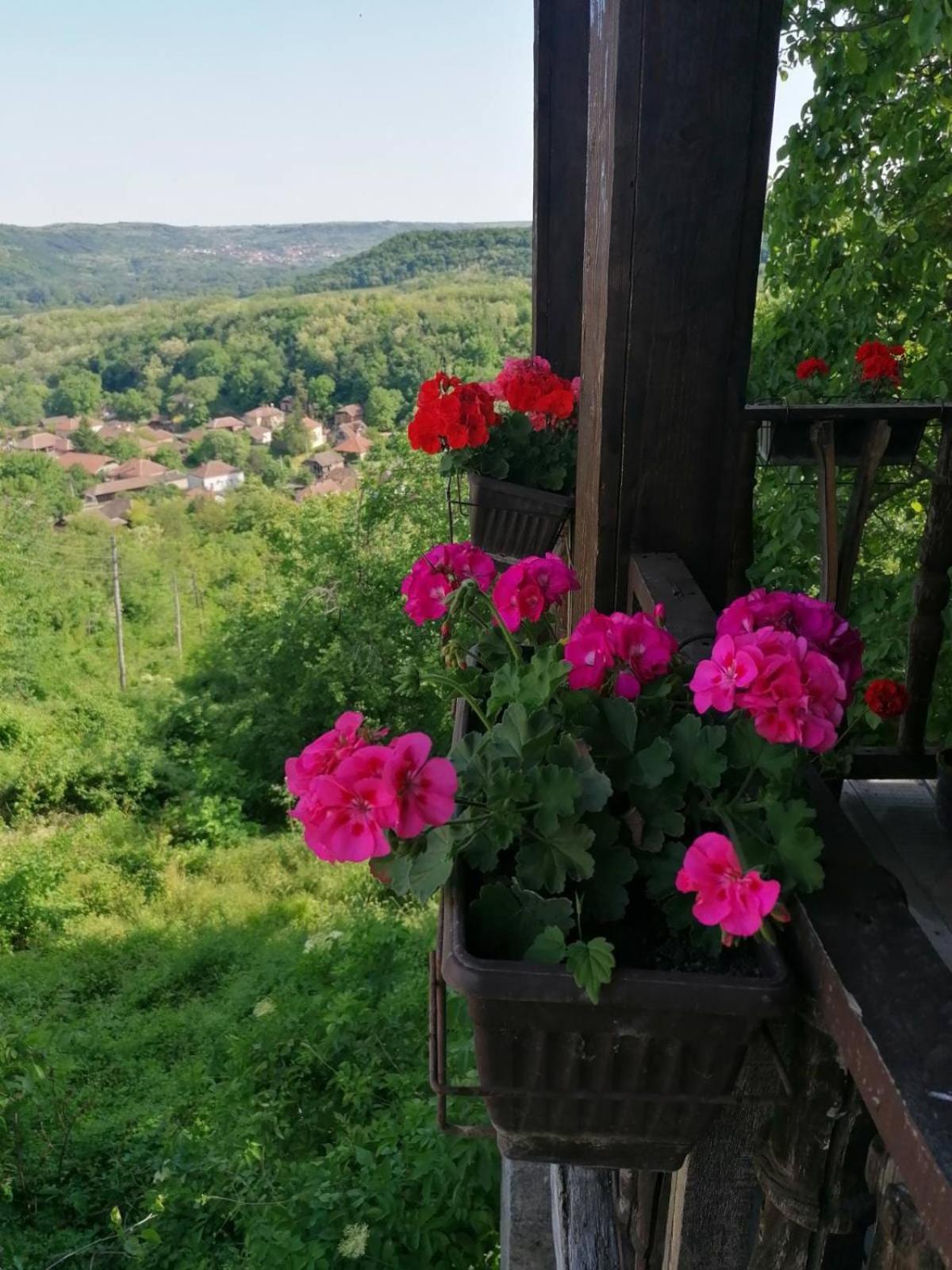 Country House Pivnica Milic Rogljevo Lejlighed Eksteriør billede