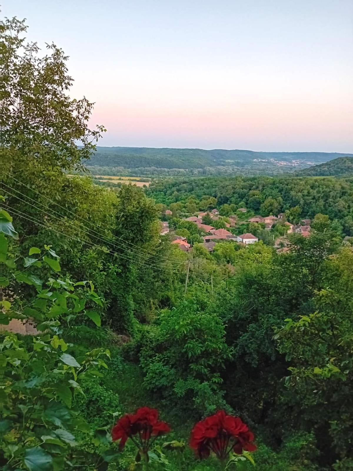 Country House Pivnica Milic Rogljevo Lejlighed Eksteriør billede